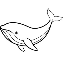 Whale line art vector illustration.