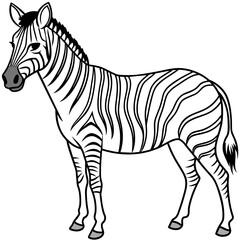 zebra line art vector illustration.
