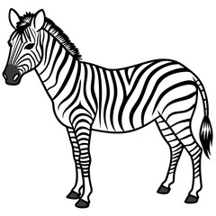zebra line art vector illustration.