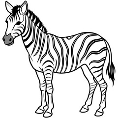 zebra line art vector illustration.