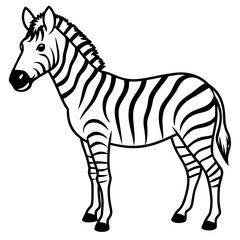 zebra line art vector illustration.