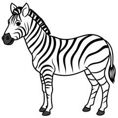 zebra line art vector illustration.