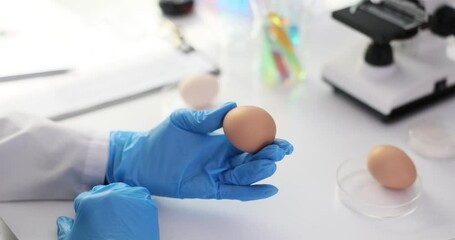 Scientist studying eggs in modern laboratory