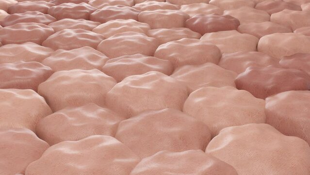 Detailed close-up view of damaged skin cells showing uneven texture and possible skin health issues.