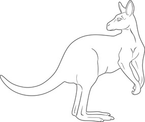 Kangaroo vector design handmade silhouette in black color.