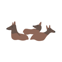 Siberian deer herd lies, decorative cartoon flat vector maral forest animal isolated on white backdrop, wild reindeer, simple illustration cute mammal for design children pattern, Christmas icon, map