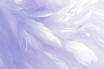 Fototapeta premium Feathers Background, Purple Feather Texture, White Feathers, Soft Feathers, Light Feathers, Dreamy Feathers, Feather Close Up, Feather Texture Background