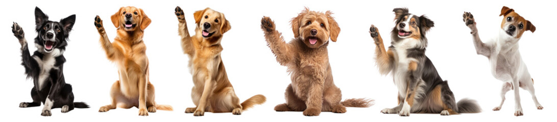 Dog png cut out element set