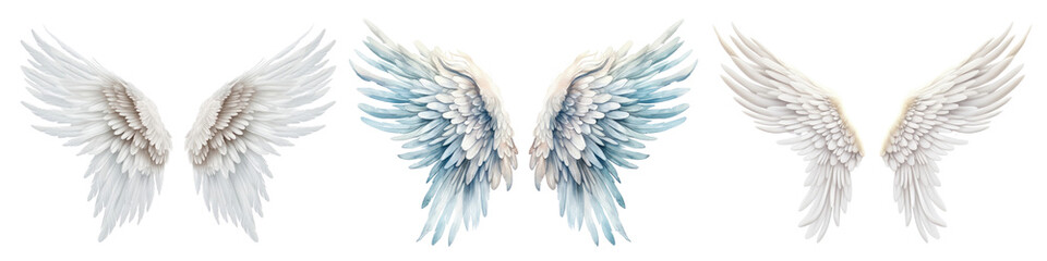 Fototapeta premium Wings png element set on transparent background