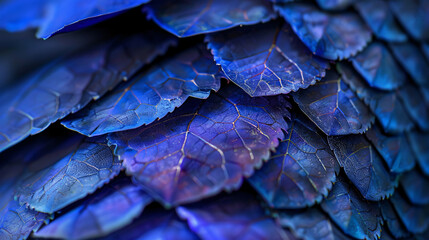 Obraz premium Blue dragon scales closeup in fantasy style macro photography