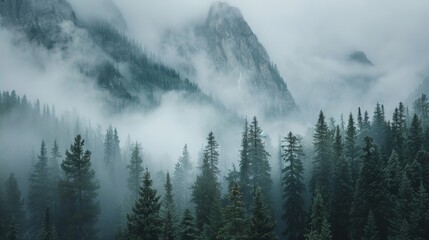 Mountain View with Fog 