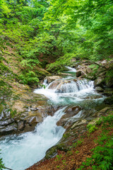 新緑の西沢渓谷