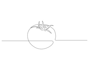 Continuous one line drawing of tomato. One line drawing illustration of tomato vegetable. Fresh raw vegetable concept continuous line art. Editable outline.