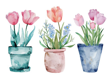 Set of watercolor painting spring or summer flowers and leaves branch in pot garden plants vector illustration