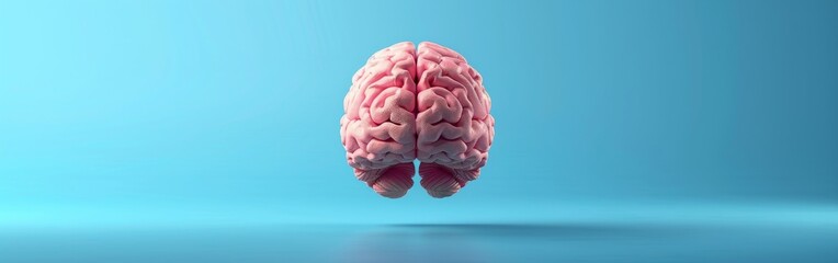 A pink brain floats in front of a blue background. It is a simple, abstract image that evokes thoughts of the human mind and consciousness