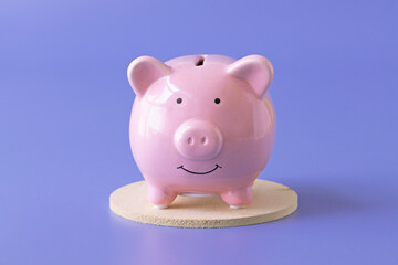 One frontal close up view piggy bank on purple background.