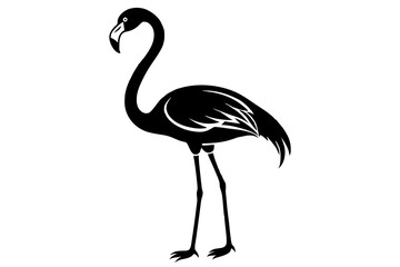 Obraz premium flamingo silhouette vector illustration