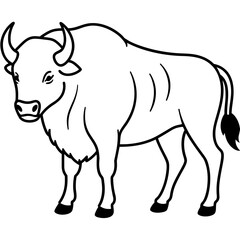 Bison line art vector illustration.