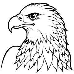 eagle line art vector illustration.