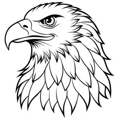 eagle line art vector illustration.