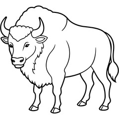 Bison line art vector illustration.