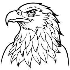 eagle line art vector illustration.