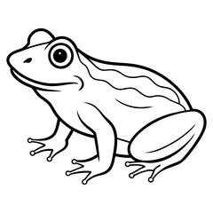 frog line art vector illustration.