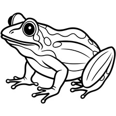 frog line art vector illustration.