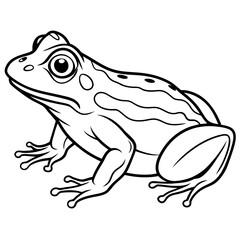 frog line art vector illustration.