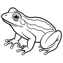 frog line art vector illustration.