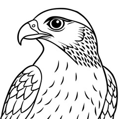 eagle line art vector illustration.