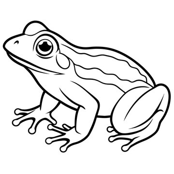 recommend clip art: frog line art vector illustration.