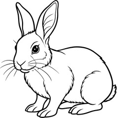rabbit line art vector illustration.