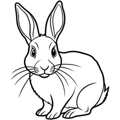 rabbit line art vector illustration.