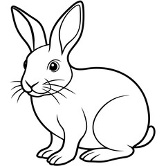 rabbit line art vector illustration.