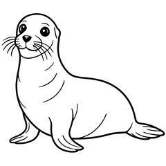 Seal line art vector illustration.