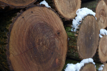 Wall of stacked wood logs as background.