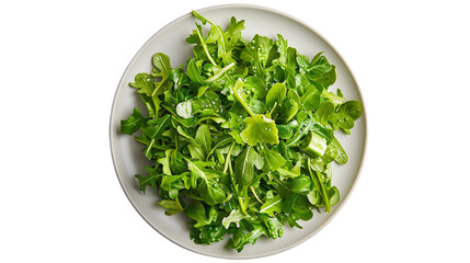 plate of green salad with fresh vegetables isolated