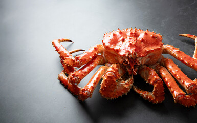 King crab on a dark background	