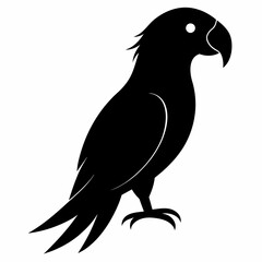 Parrot vector silhouette illustration