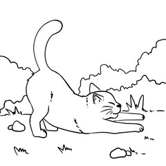 Cat Stretching in the Garden 