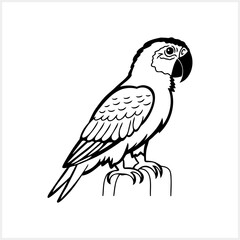Black and white coloring pages Animals parrot icon Vector stock illustration EPS 10