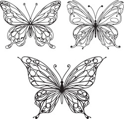 Fototapeta premium set of black and white butterflies