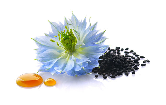 Black cumin seeds with nigella sativa flower on white background