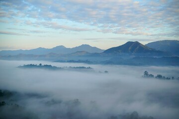 the atmosphere of the mountain with mist in the morning
