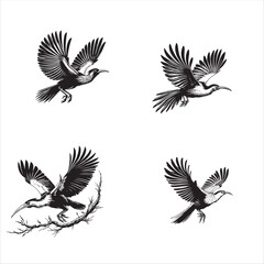 Hoatzin bird flying black silhouette vector on a white background
