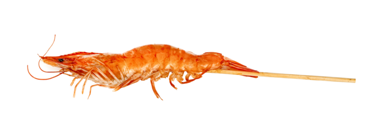 roasted peeled prawn with skewer isolated. grilled shrimp