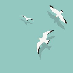 Summer white seagulls artwork, mid century modern art, greeting card, blue background