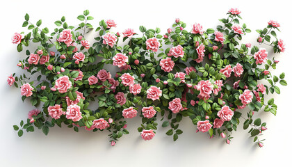 Fototapeta premium Climbing Roses on White Trellis