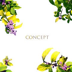 小さなピンク色の実のなる枝のフレーム素材、ベクター、シームレス